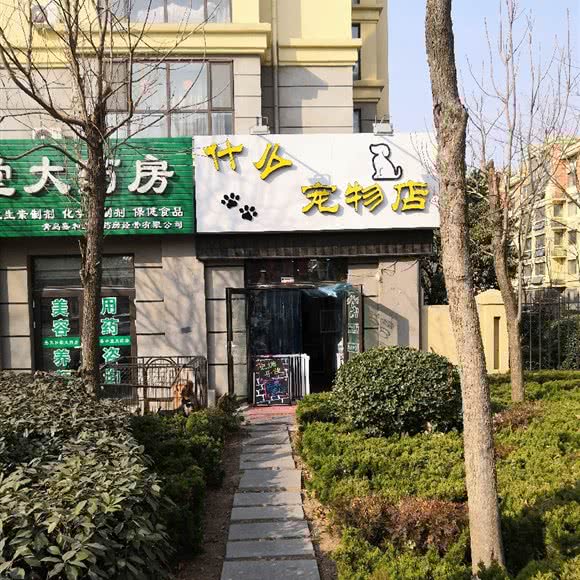 什么宠物店:青岛市黄岛区开发区附近