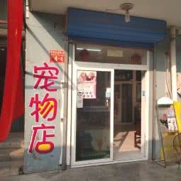 和平幸福宠物诊所:北京城区东城区安定门附近