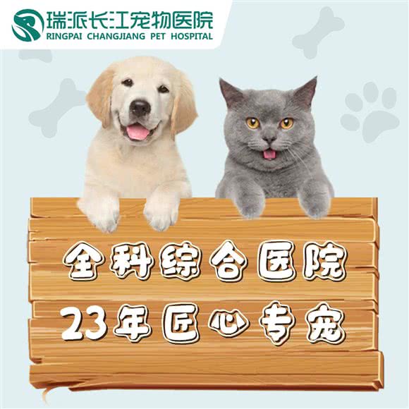 瑞派长江宠物医院(华龙道店):天津城区河东区天津站附近