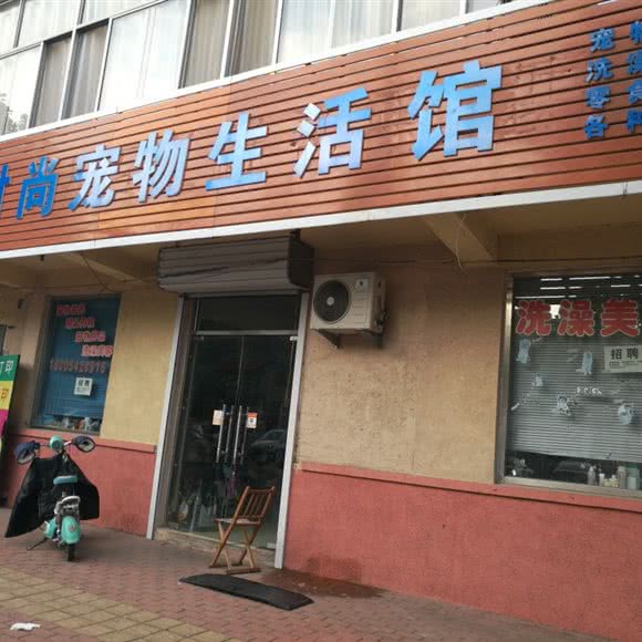 时尚宠物生活馆:青岛市黄岛区胶南人民路附近
