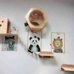 和平猫咪猫CAT:青岛市黄岛区灵山路附近