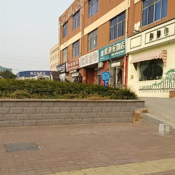 胶南酷迪宠物店:青岛市黄岛区双珠路/珠海路附近