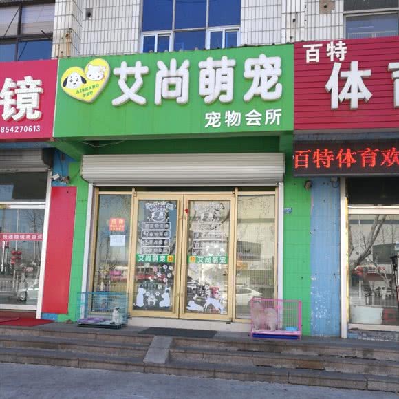 艾尚萌宠宠物会所:青岛市黄岛区双珠路/珠海路附近