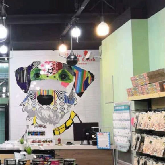 甜心爱宠宠物猫专卖:天津城区河东区太阳城附近