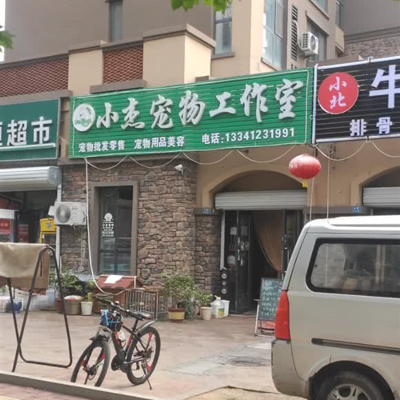 小杰宠物工作室:青岛市黄岛区胶南附近