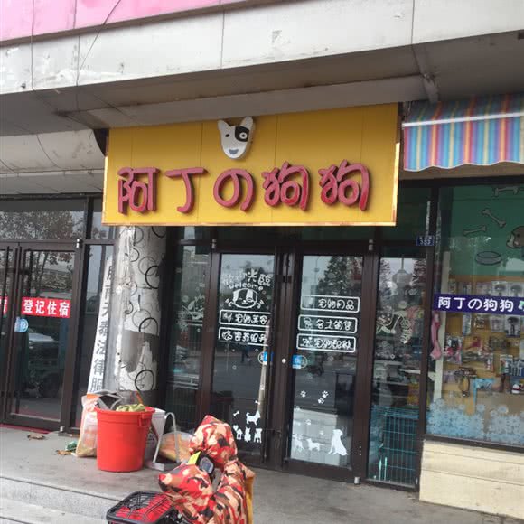 阿丁的的狗狗:青岛市黄岛区胶南附近