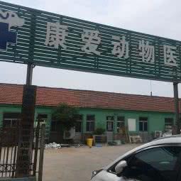 黄岛康爱宠物医院:青岛市黄岛区胶南附近