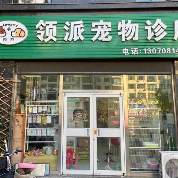 领派宠物医院:青岛市黄岛区胶南附近