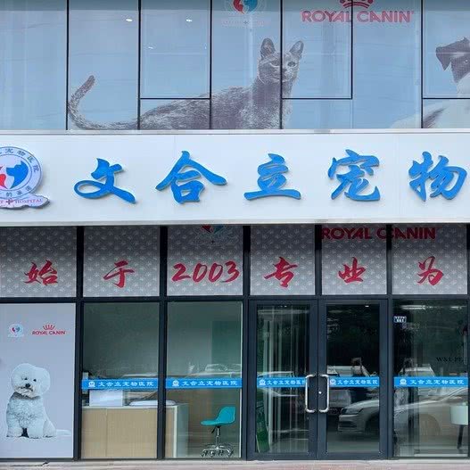 星宠文合立宠物医院:青岛市黄岛区胶南隐珠附近