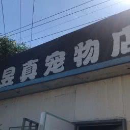 信昱真宠物店:青岛市崂山区崂山风景区附近
