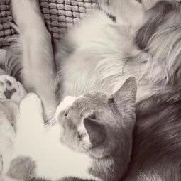 D&B TOWN 宠城:青岛市崂山区崂山风景区附近