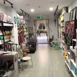 嘻多多宠物馆:青岛市崂山区国信体育中心附近