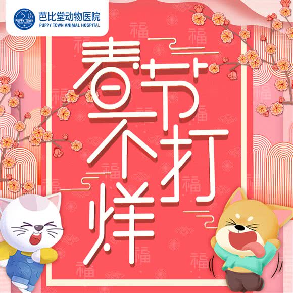 芭比堂动物医院(辽阳东路分院（眼科特色专科）):青岛市崂山区国信体育中心附近