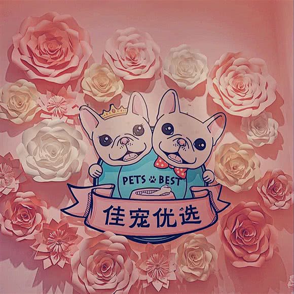 佳宠优选宠物生活馆:青岛市崂山区香港东路沿线附近