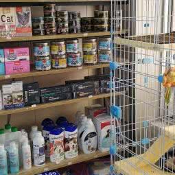 惟爱宠物:青岛市李沧区维客广场附近