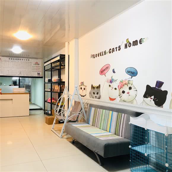 亲宠宠物生活馆:青岛市李沧区维客广场附近