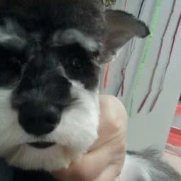 悠悠萌宠屋:天津城区河东区区政府附近