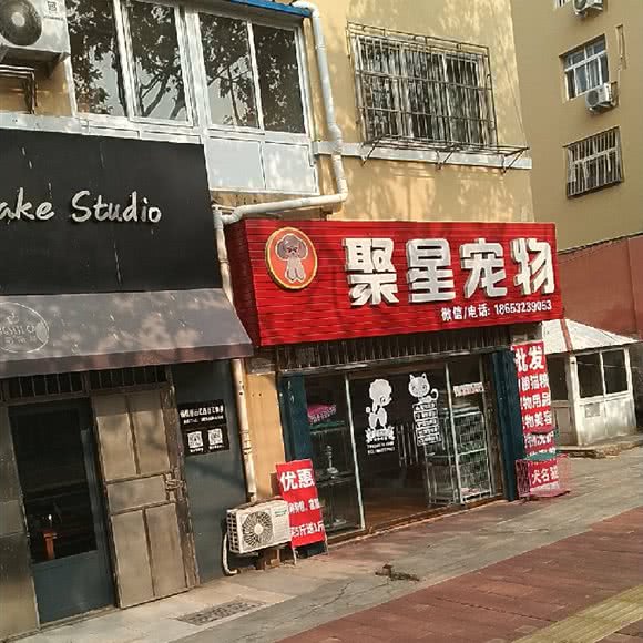 聚星宠物:青岛市李沧区沧口/李沧附近