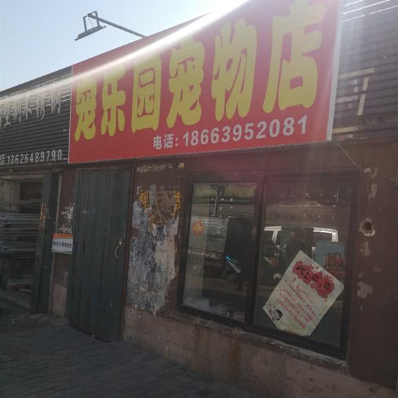 宠乐园宠物店:青岛市李沧区沧口/李沧附近