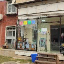 道格宠物生活馆:天津城区河东区区政府附近