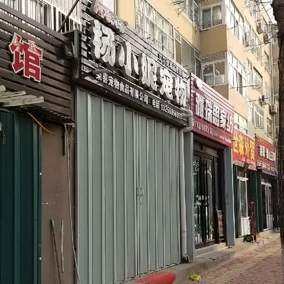 杨小妮宠物店:青岛市李沧区李沧宝龙附近