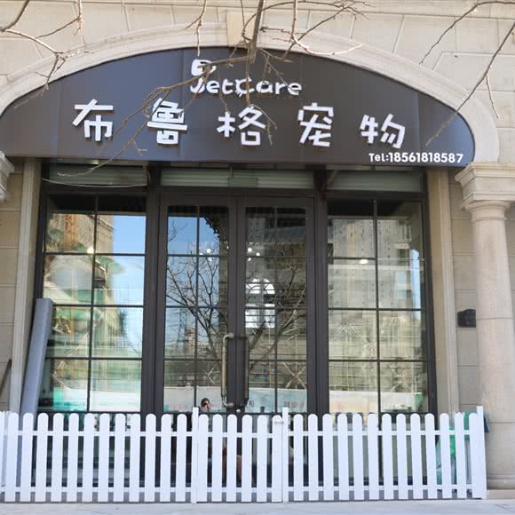 布鲁格宠物:青岛市李沧区九水东路附近