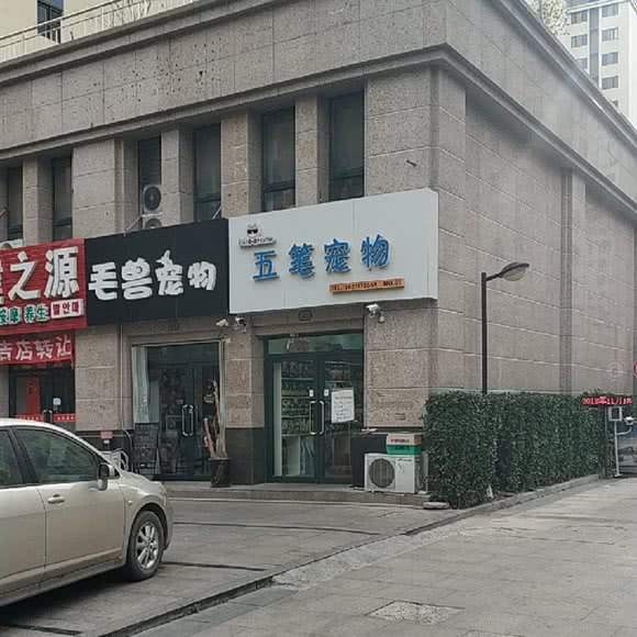 五笔宠物:青岛市城阳区正阳路附近