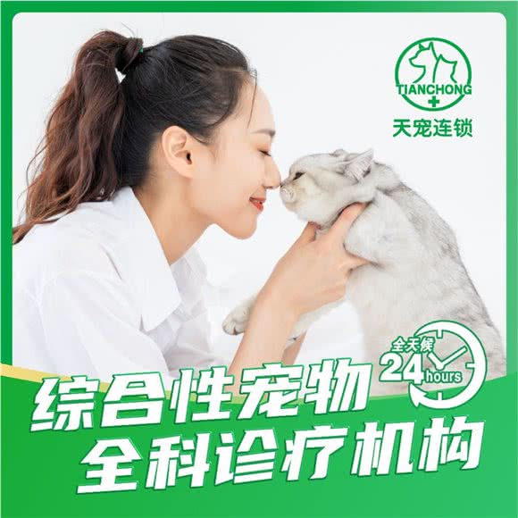 卫它宠物医院(天宠先锋路分院):天津城区河东区区政府附近