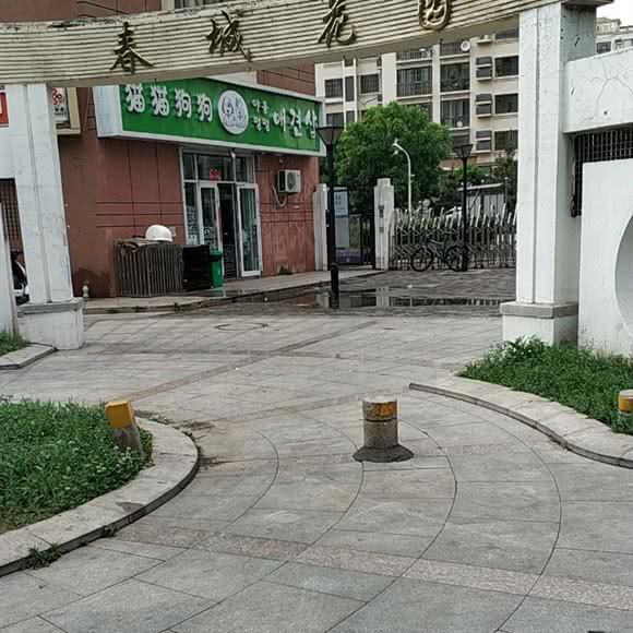 猫猫狗狗宠物店:青岛市城阳区世纪公园附近