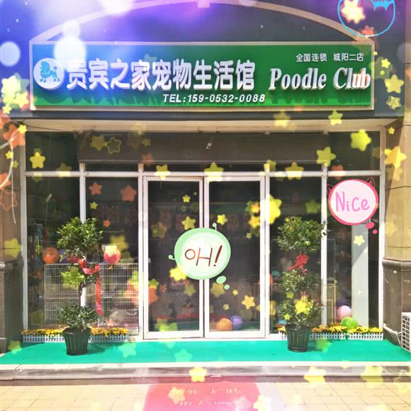 贵宾之家宠物生活馆(城阳二店):青岛市城阳区世纪公园附近