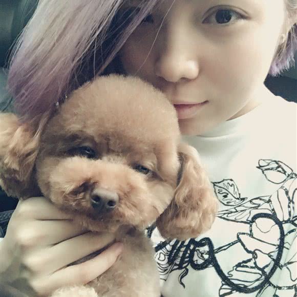 完美世界宠物幼儿园:北京城区朝阳区大望路附近