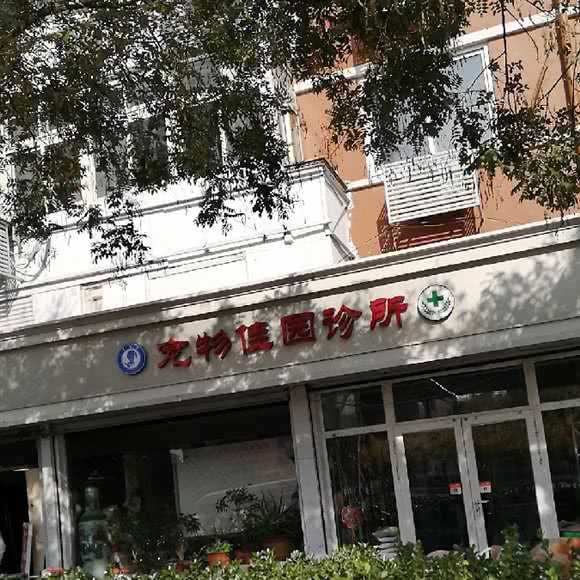 宠物佳园诊所:天津城区河东区区政府附近