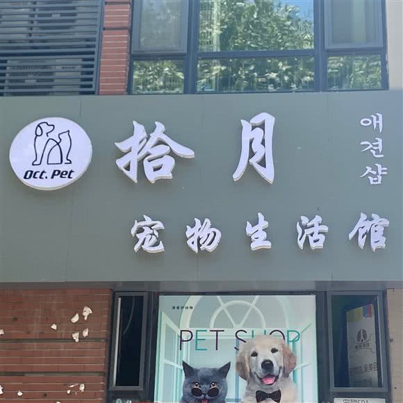 拾月宠物生活馆:青岛市城阳区农业大学/春阳路附近
