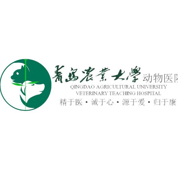 青岛农业大学教学动物医院:青岛市城阳区农业大学/春阳路附近