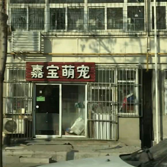 嘉宝萌宠:天津城区河东区常州道附近