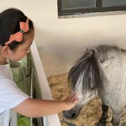 蘇小窝撸宠馆:青岛市城阳区青特上豪/家佳源附近