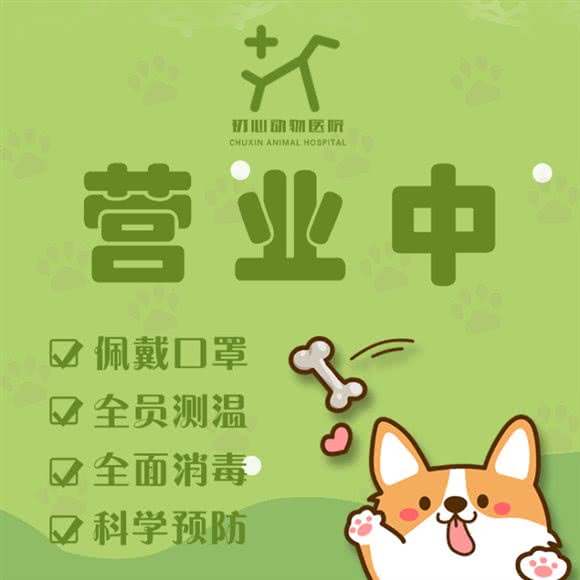 初心动物医院(24小时转诊中心):青岛市城阳区青特上豪/家佳源附近