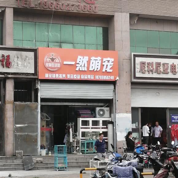 一然萌宠宠物生活馆:青岛市城阳区平阳路附近