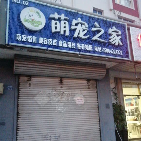 萌宠之余家:青岛市城阳区平阳路附近