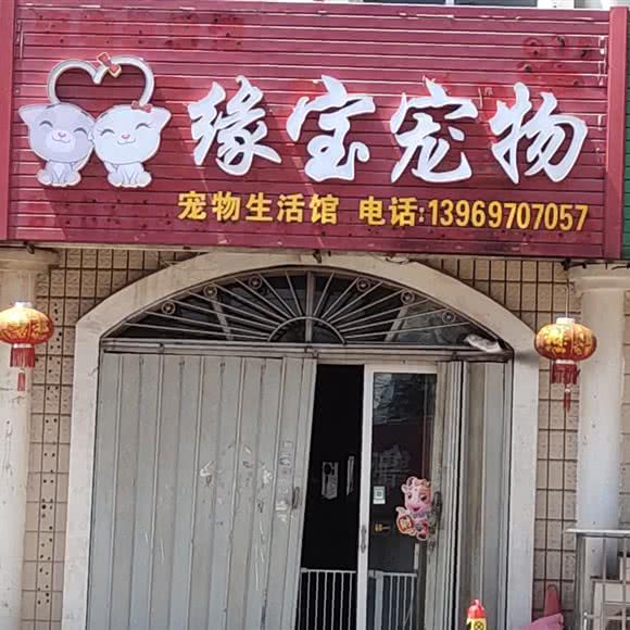 缘宝宠物:青岛市即墨区正发利群附近