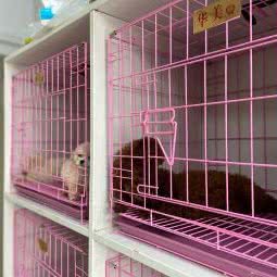 爱宠有家:青岛市即墨区即墨开发区附近