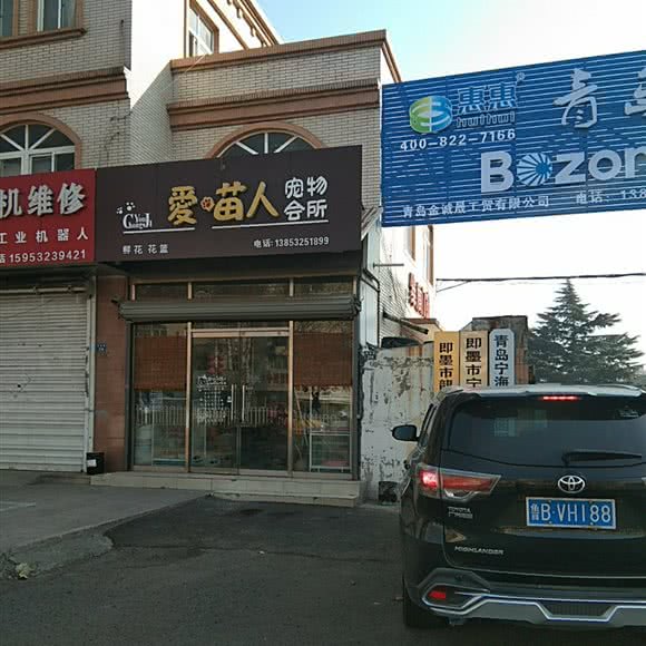 爱喵人宠物会所:青岛市即墨区环秀街道附近