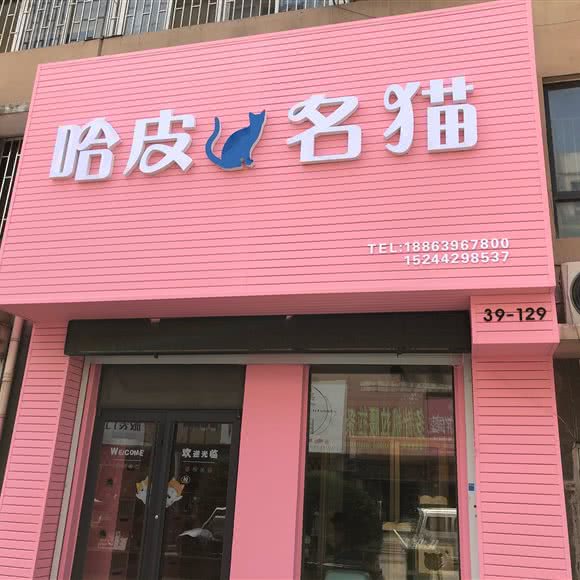 哈皮名猫宠物店:青岛市即墨区服装市场附近