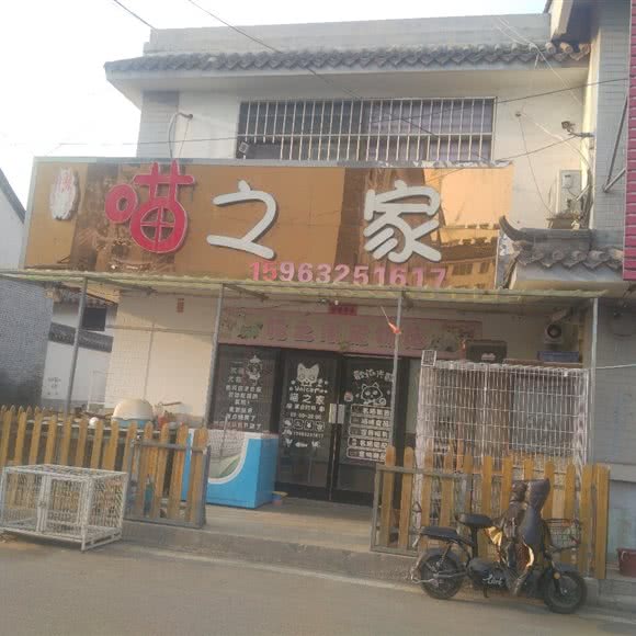 喵之家:青岛市胶州市胶州市附近