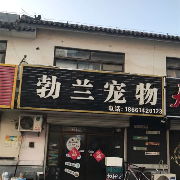 勃兰宠物:青岛市胶州市胶州市附近