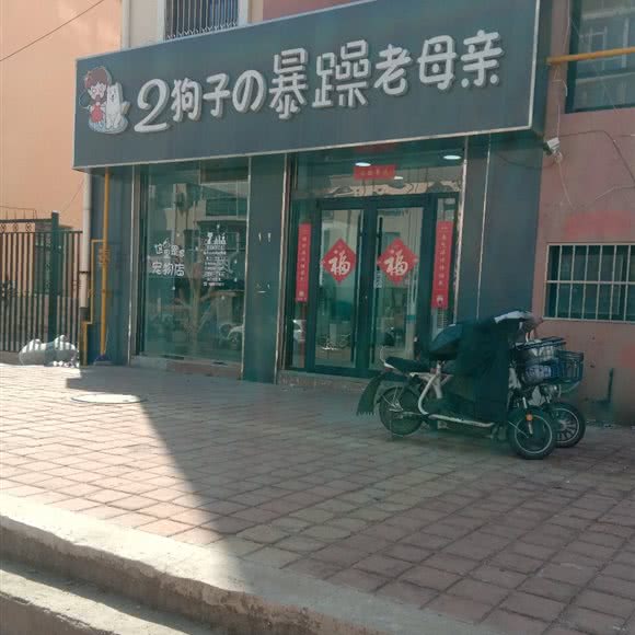 2狗子暴躁的老母亲:青岛市胶州市胶州市附近