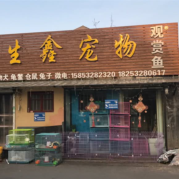 生鑫宠物:青岛市胶州市胶州市附近
