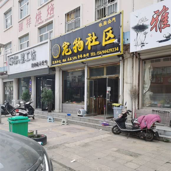 宠物社区体验会所:青岛市胶州市胶州市附近
