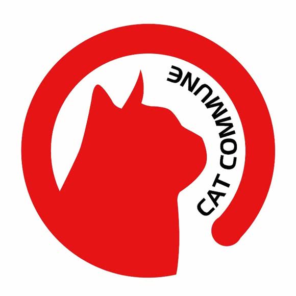 喵咪公社宠物店:天津城区河东区工业大学附近