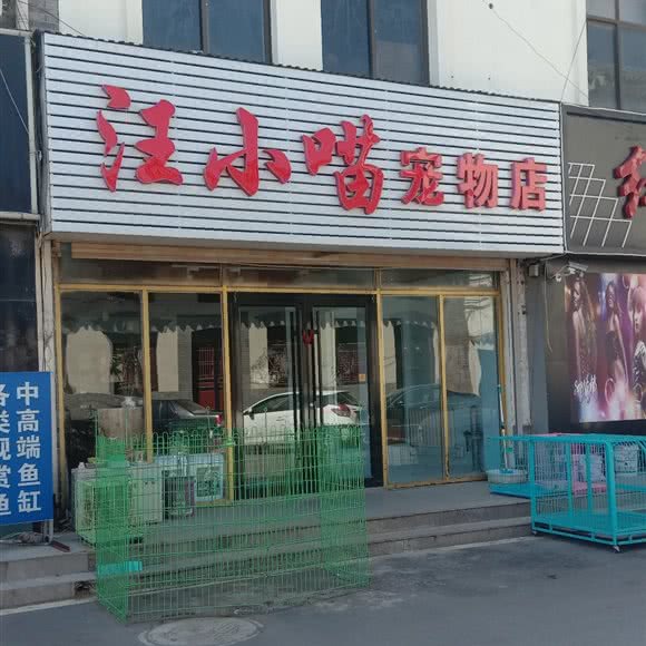 汪小喵宠物店:青岛市胶州市胶州市附近
